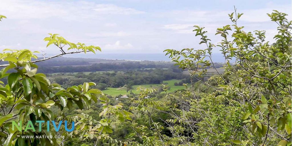 Finca con vista a Playa Hermosa