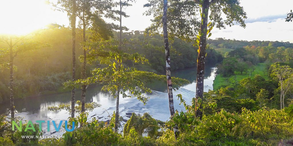 Finca en programa de pago bajo servicios ambientales del FONAFIFO