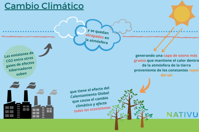 Impacto del Cambio Climático y la Variabilidad en la