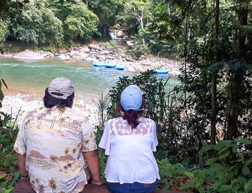 Costa Rica is a destination for ecotourism and forest protection investment