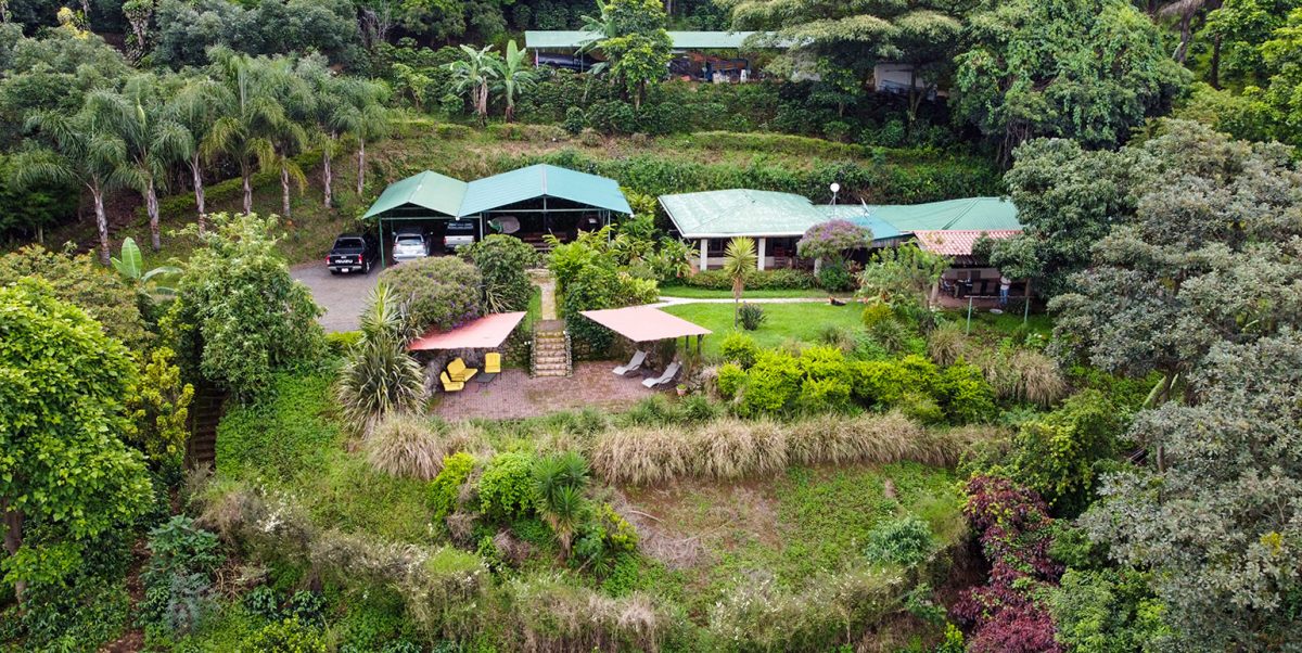 Buy coffee farms in Costa Rica! NATIVU blog