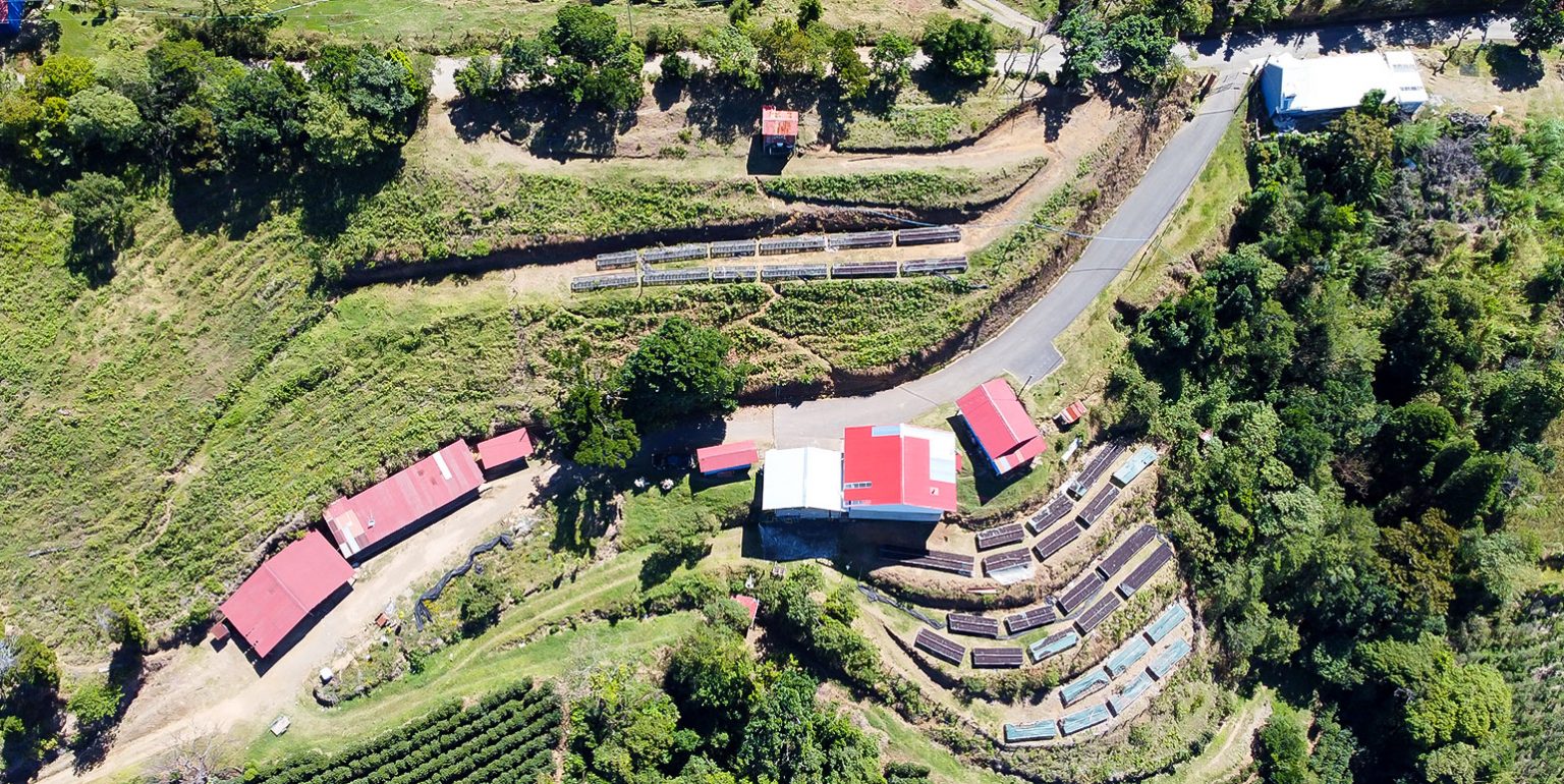 Buy coffee farms in Costa Rica! NATIVU blog