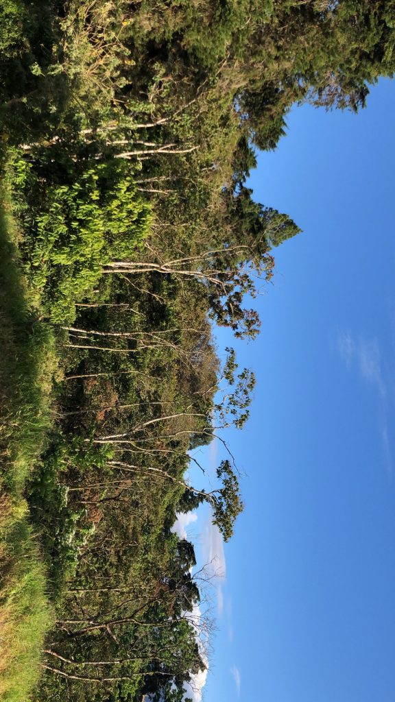 Recreational parks in the east San José