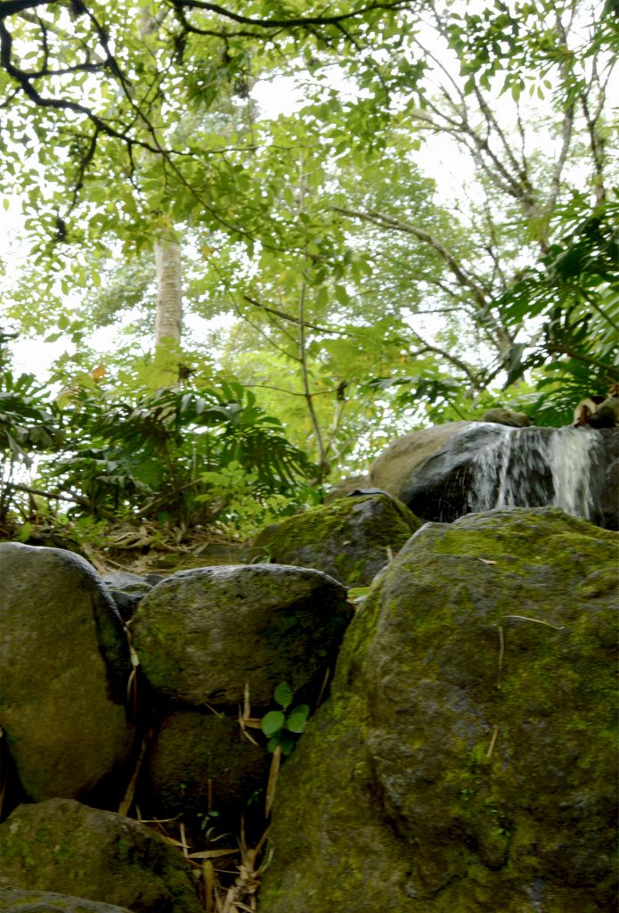 Parques Recreativos - Río Loro