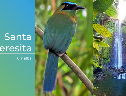 Invest in Santa Teresita of Turrialba with Nativu Cartago!
