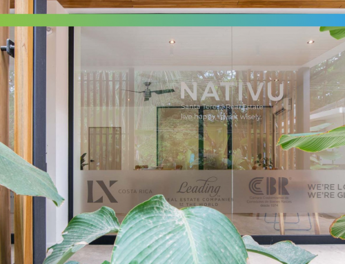 Welcome to the first NATIVU office in Santa Teresa!