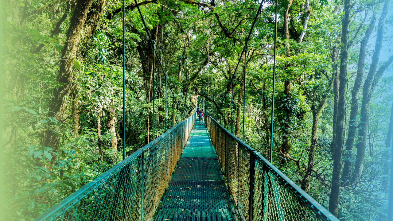 Fincas Forestales en Costa Rica