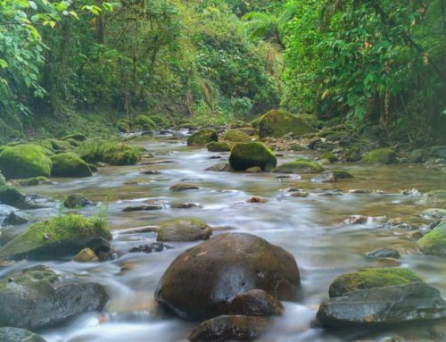 #Explore: Parque Nacional Barbilla