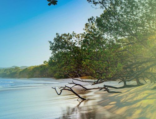 #Explore: Lugares para visitar en un día en Guanacaste