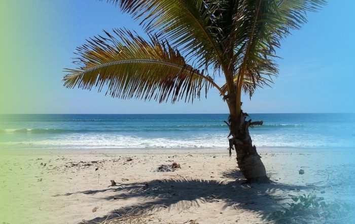 Playa Guiones