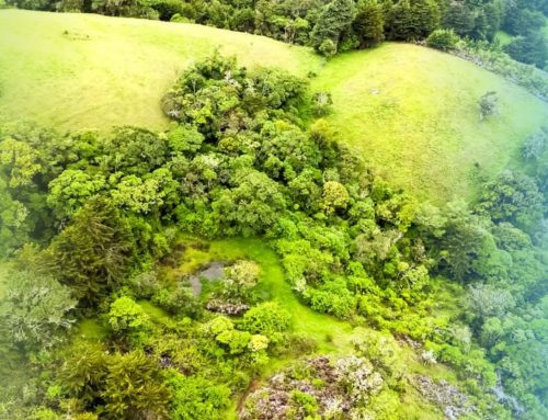 Servidumbres ecológicas: claves para la conservación