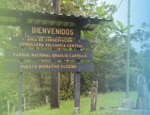 #Explore: Parque Nacional Braulio Carillo