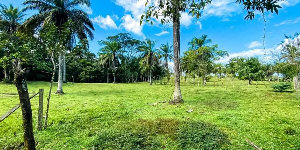 Lotes en Heredia, Lotes en Costa Rica, Lotes para casas, construcción, desarrollo