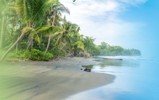 Zona Marítimo Terrestre, Costa Rica, Costa, Turismo