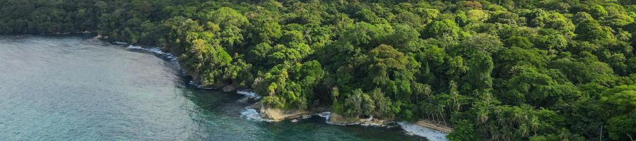 Clima de Costa Rica, temporada seca, temporada húmeda