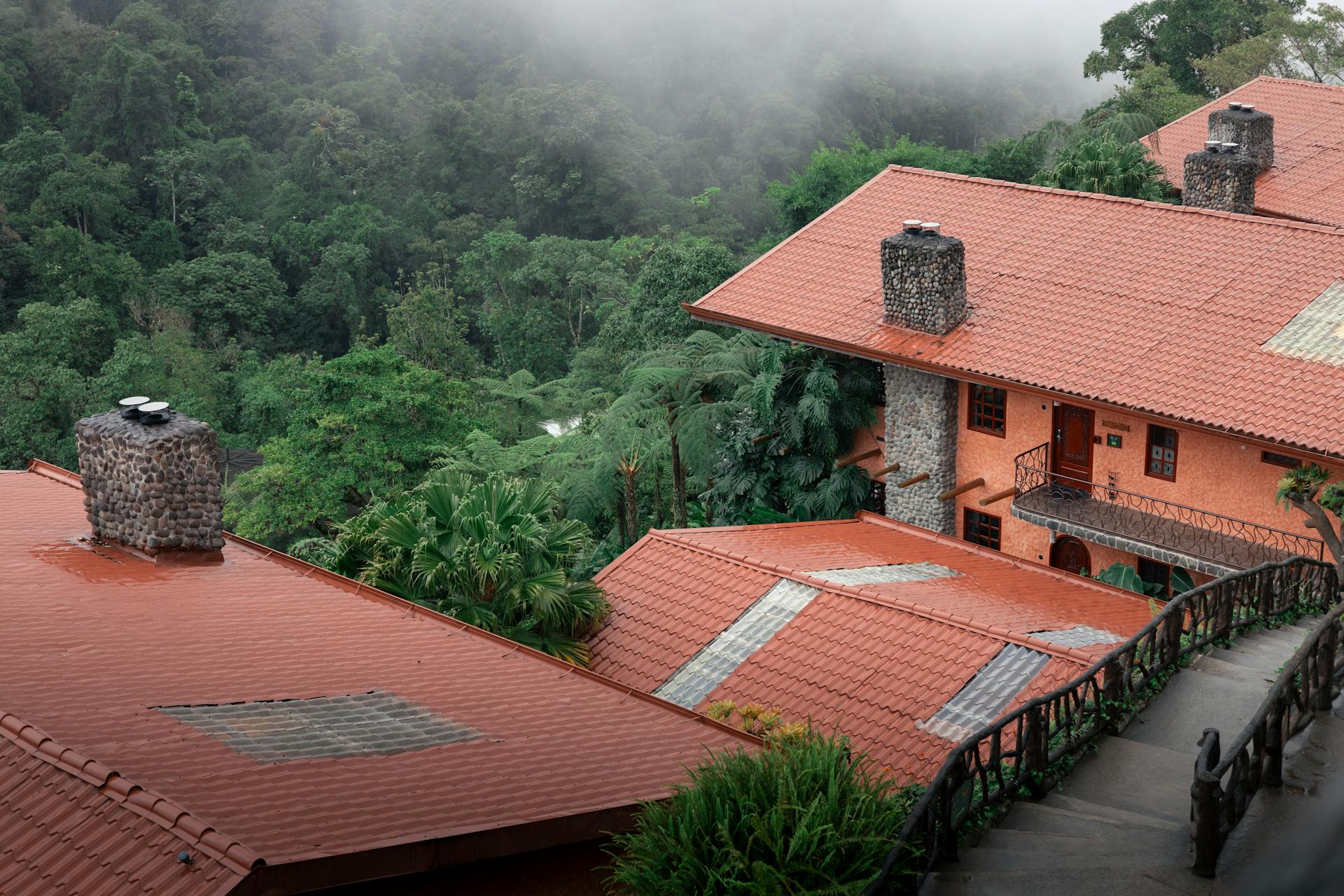 Montaña, Costa Rica, Campo, Salvaje, Naturaleza