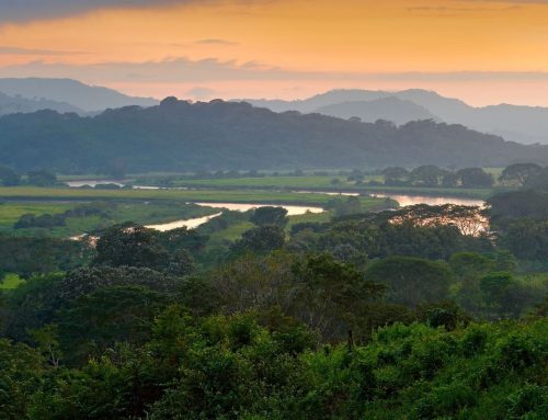 #Explore: Carara National Park