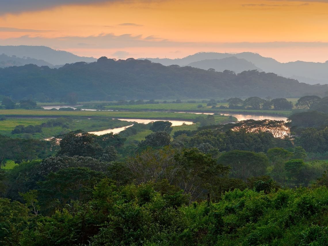 Parque Nacional Carara