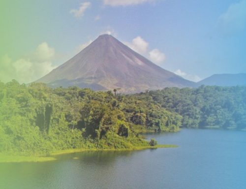 #Explore: Zona Norte, donde la naturaleza es su vecina