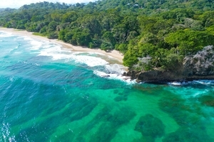 Caribe