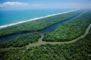 Caribe