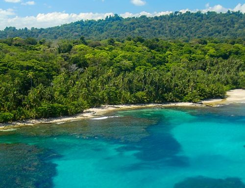#Explore: Caribbean: Nature, Culture, and Opportunities
