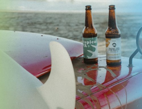 La cerveza artesanal de Guanacaste: Papagayo Brewing