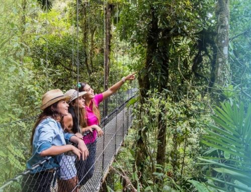 Vivir en las montañas de Costa Rica: beneficios y oportunidades
