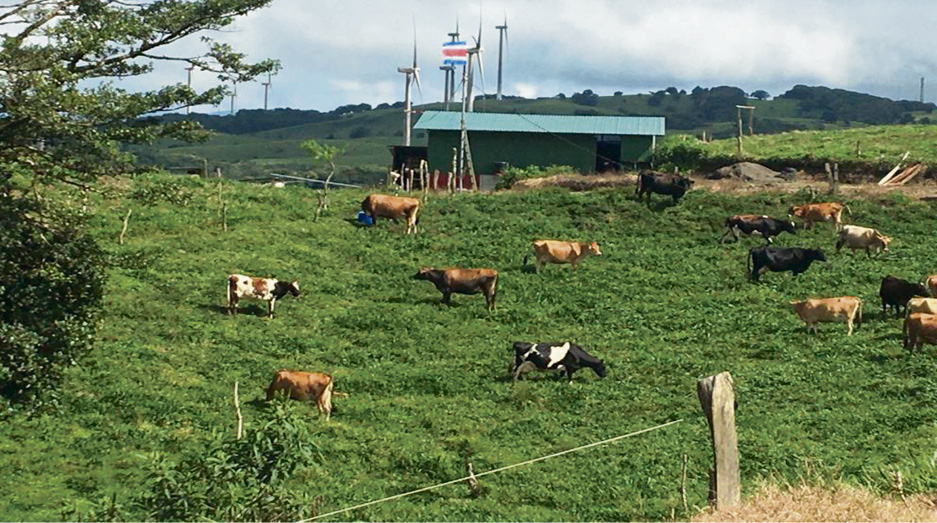 fincas-de-la-region-chorotega-se-uniran