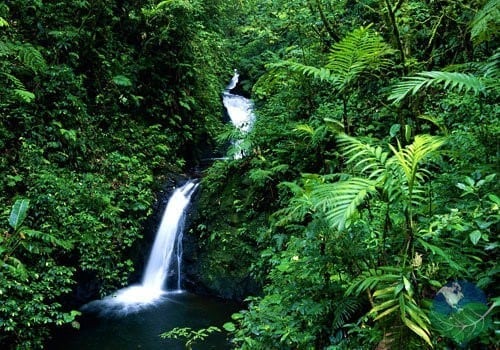 northern-zone-monteverde-500×350